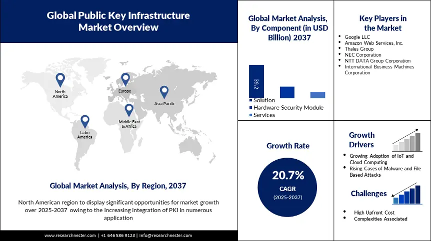 Public Key Infrastructure Market Overview